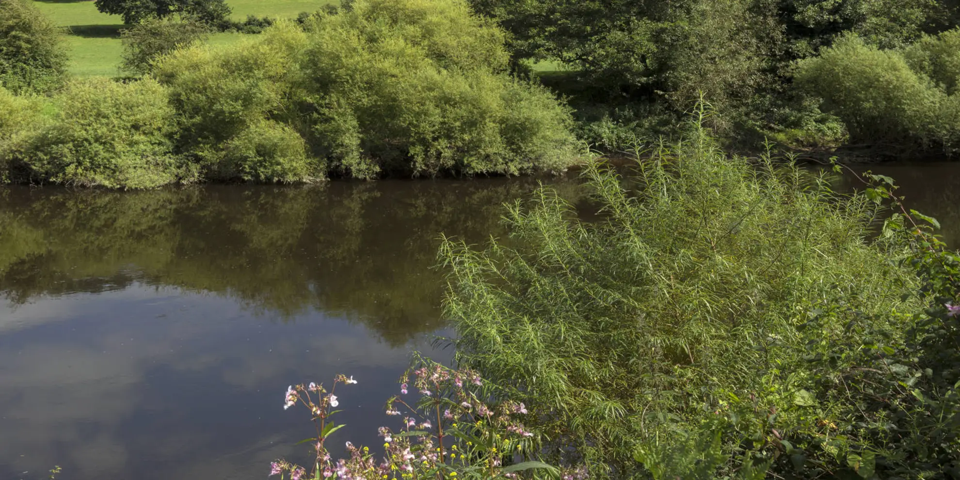 An image depicting the trail Highley from the Severn Valley Country Park and its surrounding area.