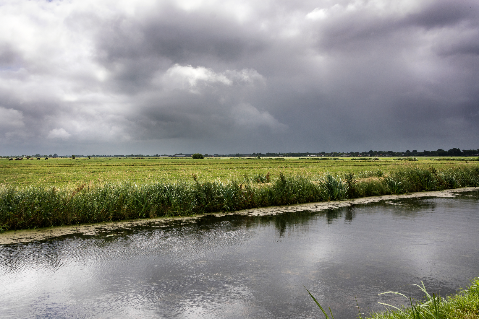 An image depicting the trail Zuideinderplas via Meijepad and its surrounding area.