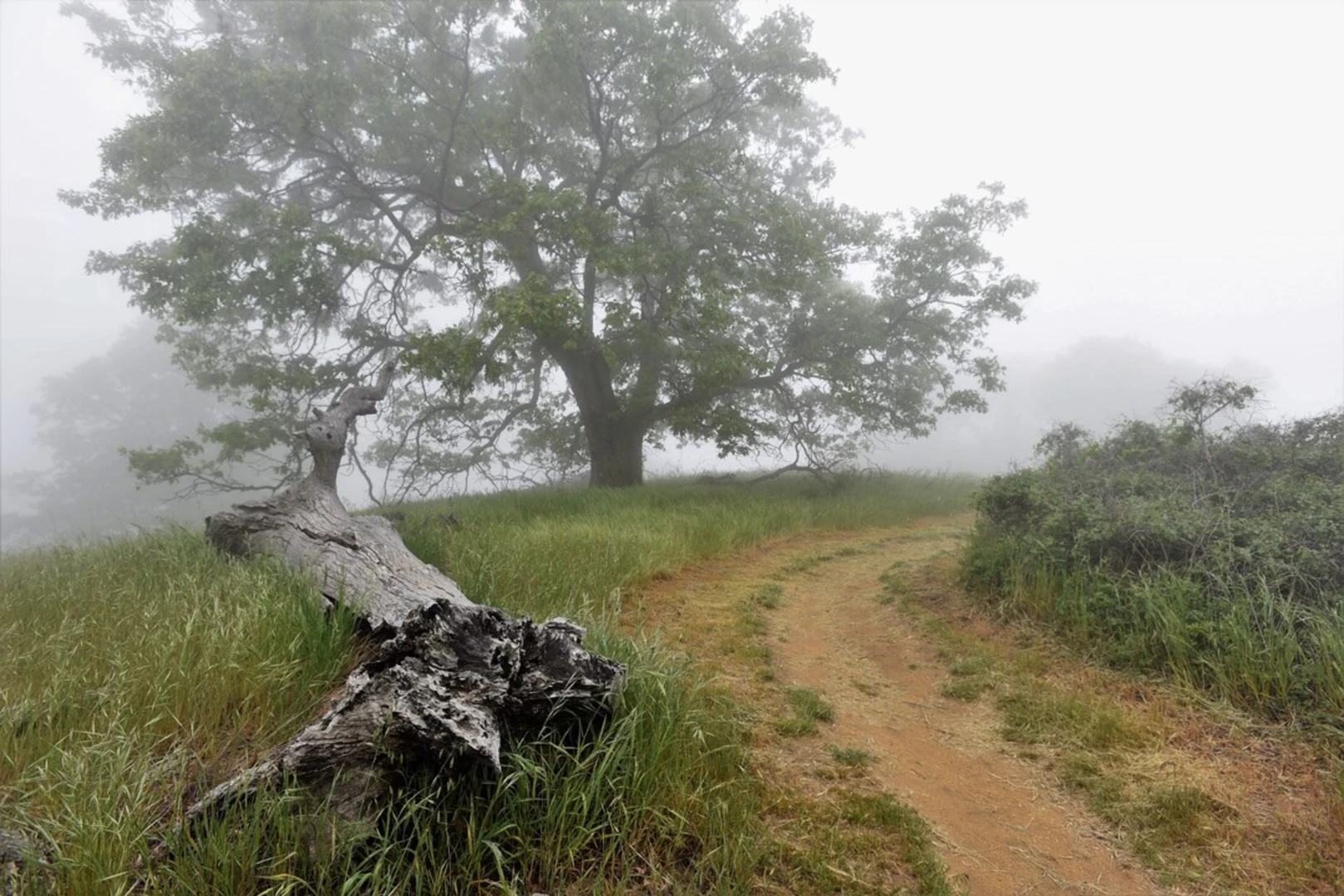 An image depicting the trail Volcan Mountain Trail and its surrounding area.