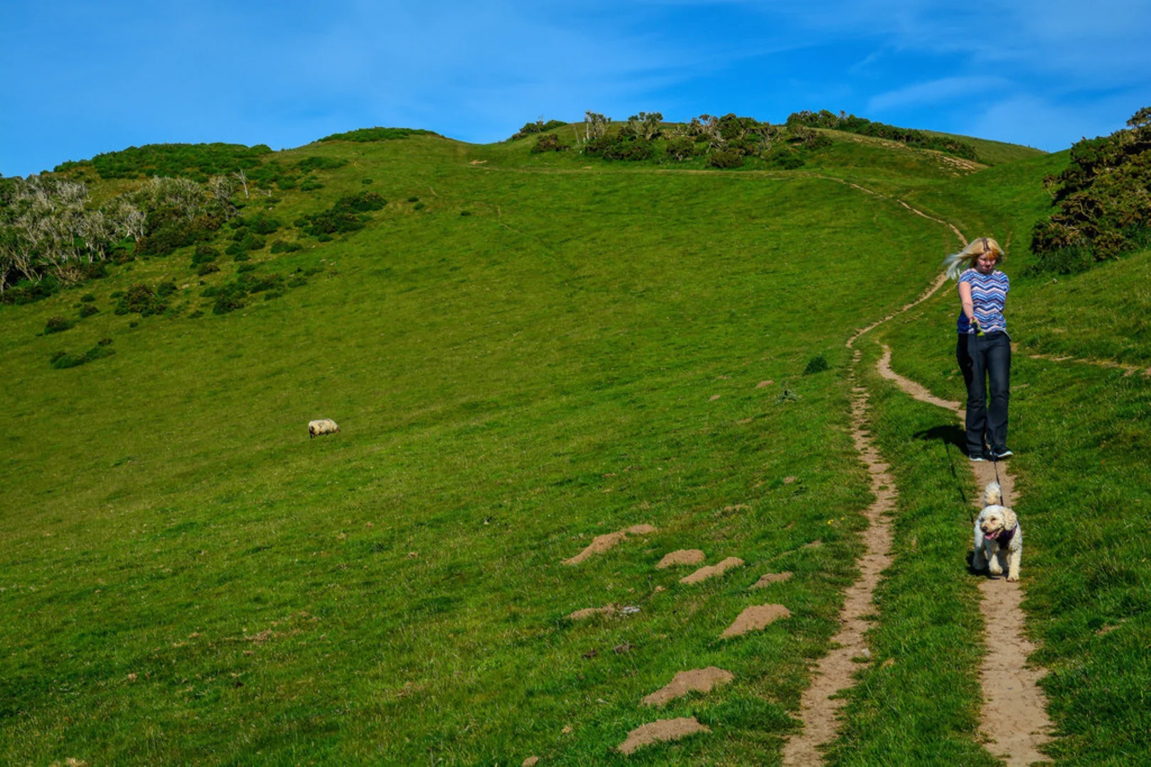 An image depicting the trail West Bay to Seatown and its surrounding area.