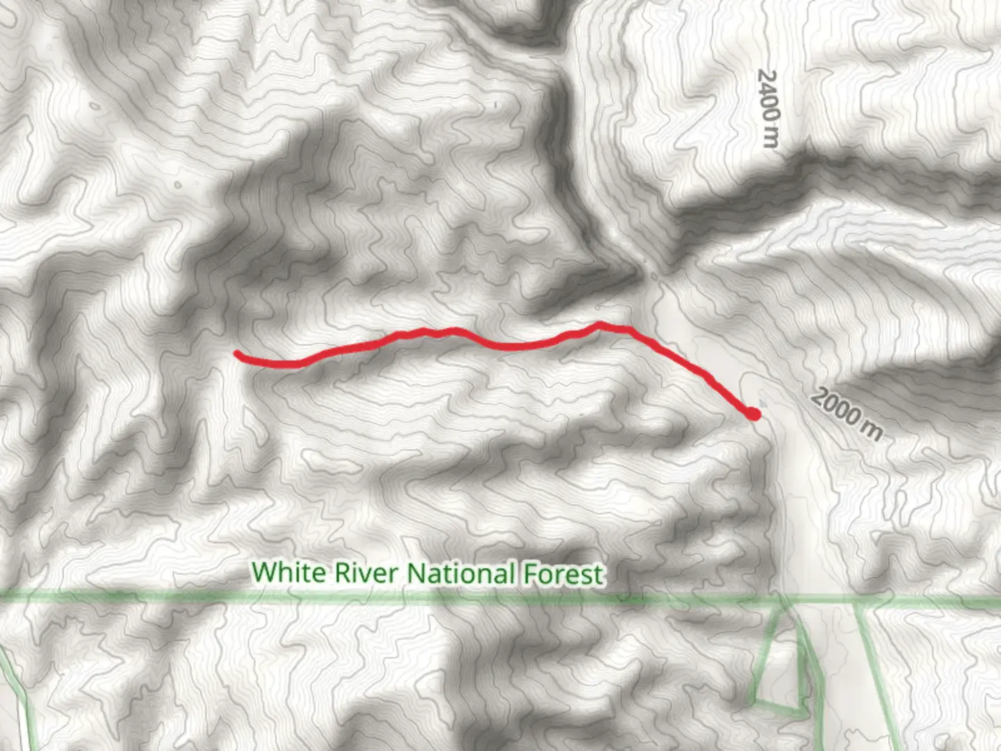 An image depicting the trail Main Elk Trail and its surrounding area.