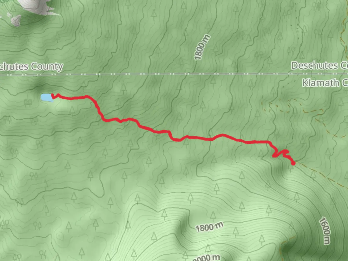 An image depicting the trail Maiden Lake Ofrom National forest Development Road and its surrounding area.