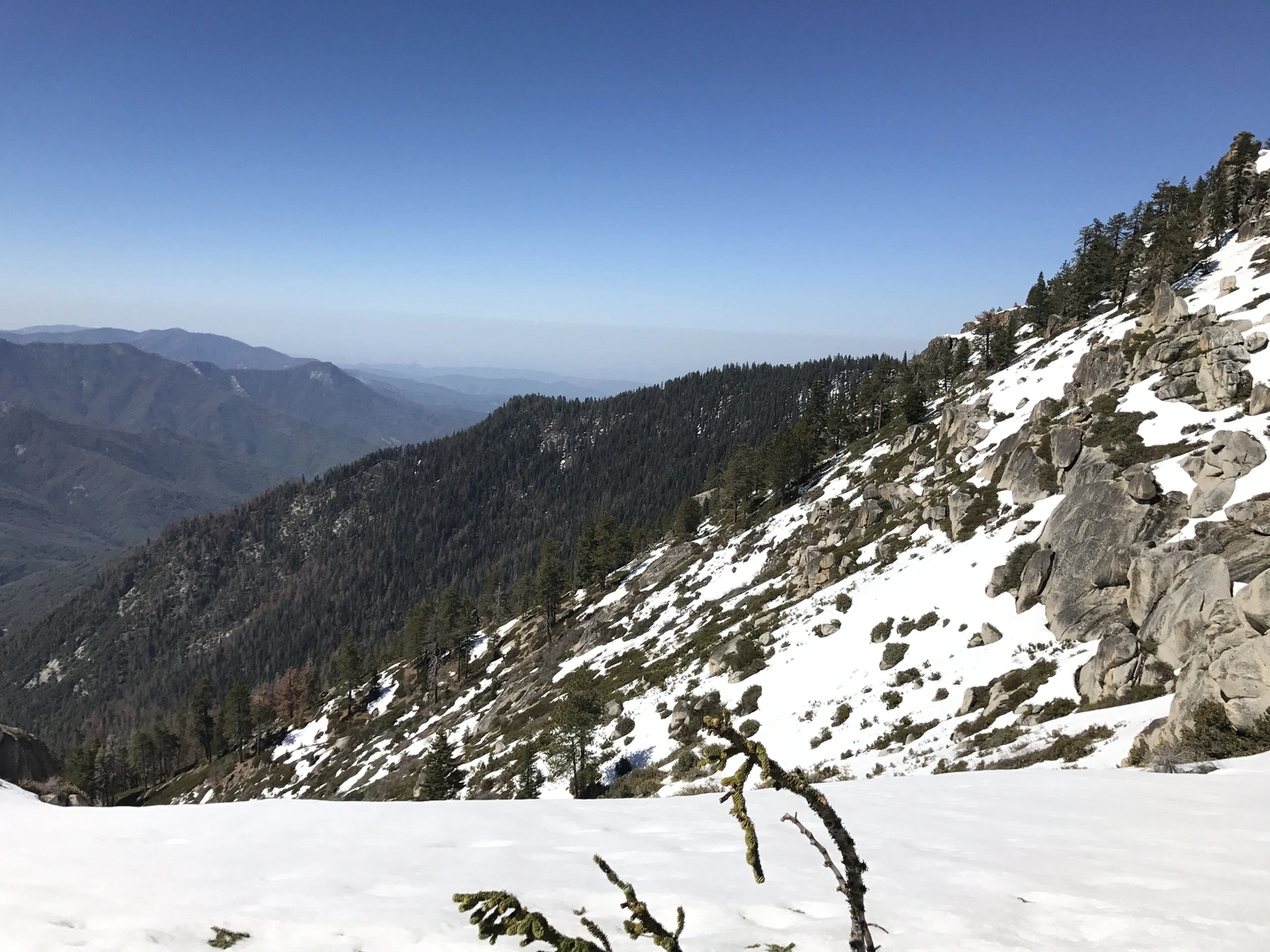 An image depicting the trail Panther Gap Mehrten Meadow via Panther Gap Lakes and its surrounding area.