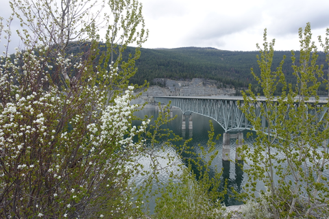 An image depicting the trail Thirsty Mountain Trail and its surrounding area.