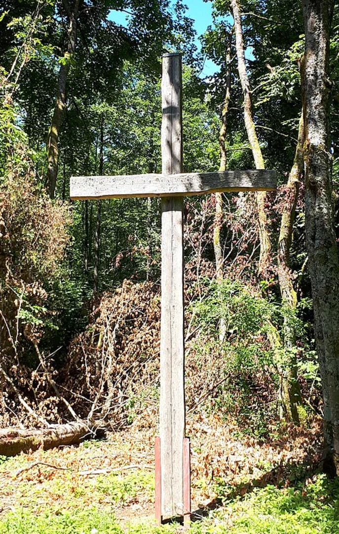 An image depicting the trail Püngelbach via Schrauffweg and its surrounding area.