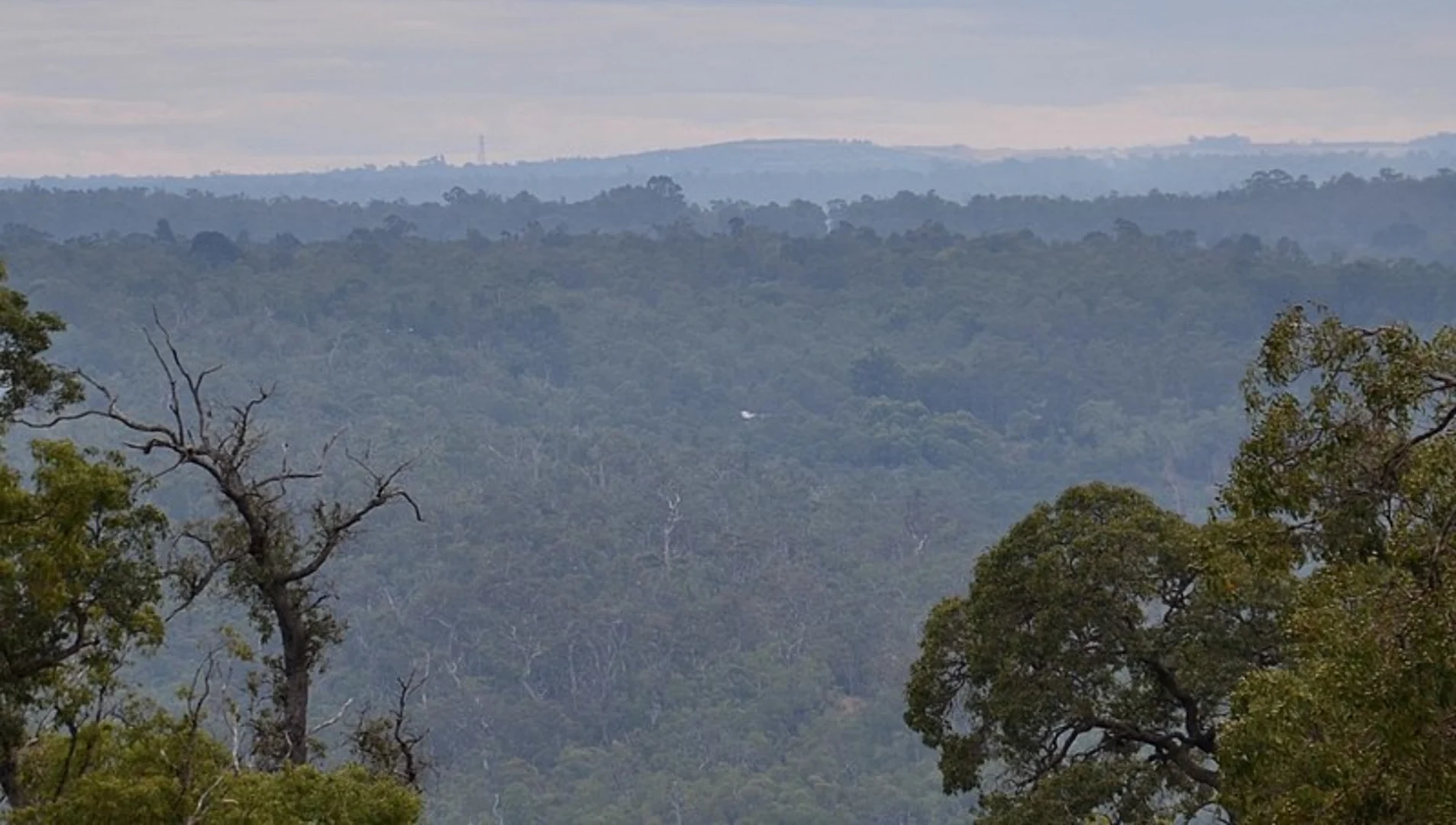 An image depicting the trail Camel Farm to Hewetts Hill - Bibbulmun Track and its surrounding area.