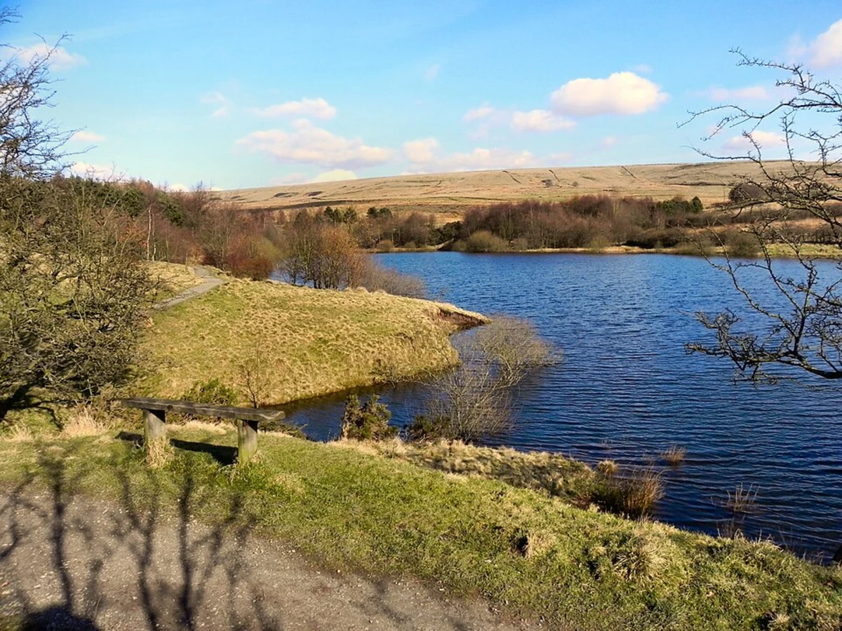 Watergrove Reservoir and Woodland Loop