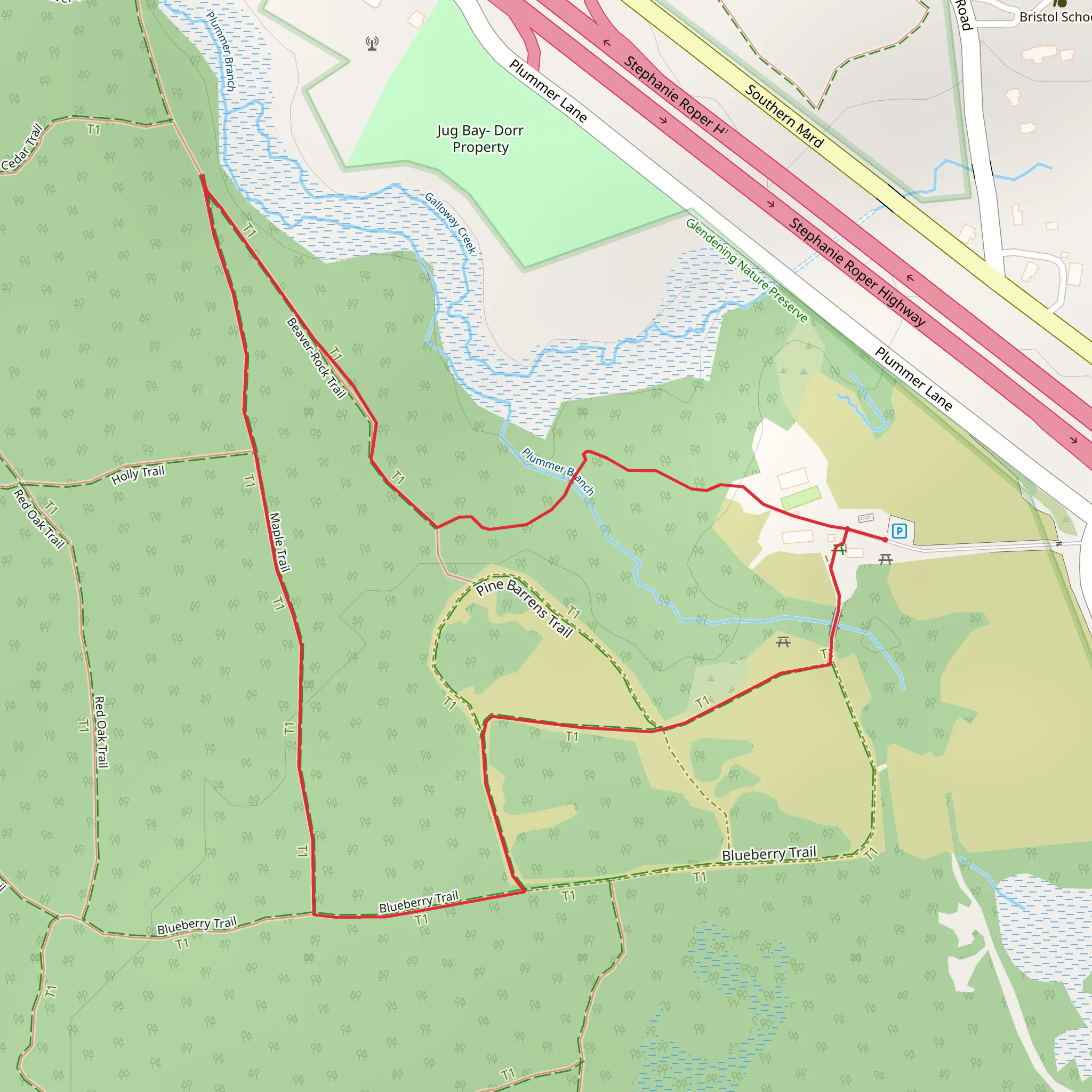 Beaver-Rock Trail and Blueberry Loop Trail mobile static map