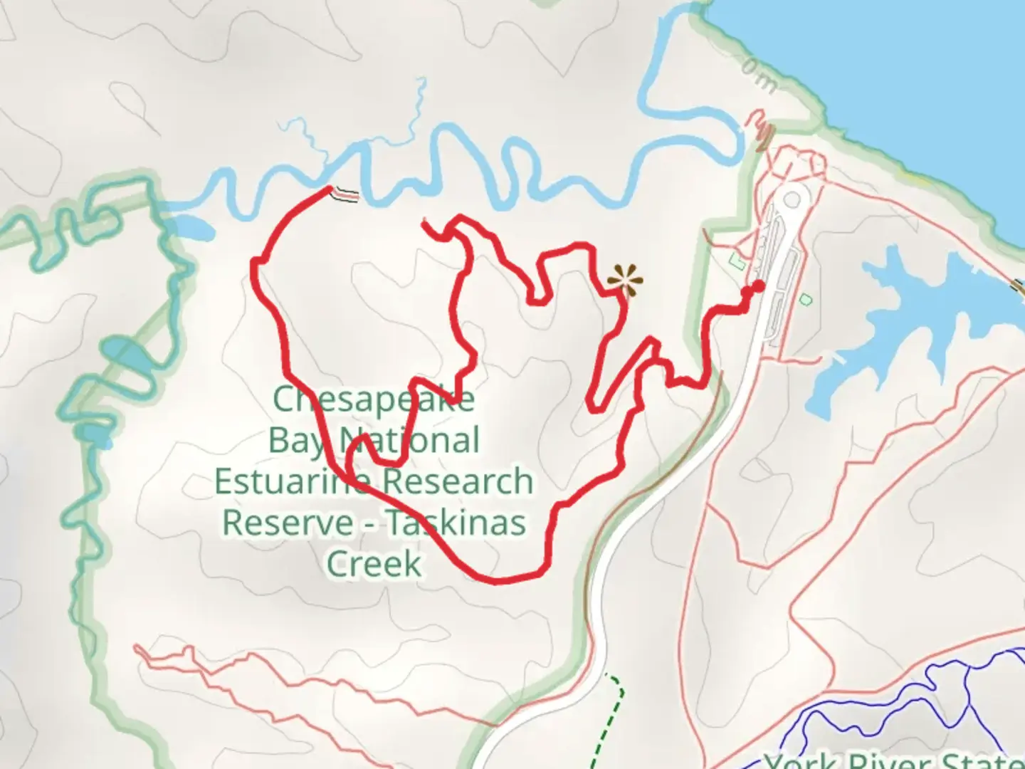 An image depicting the trail Taskinas Creek Loop Trail and its surrounding area.