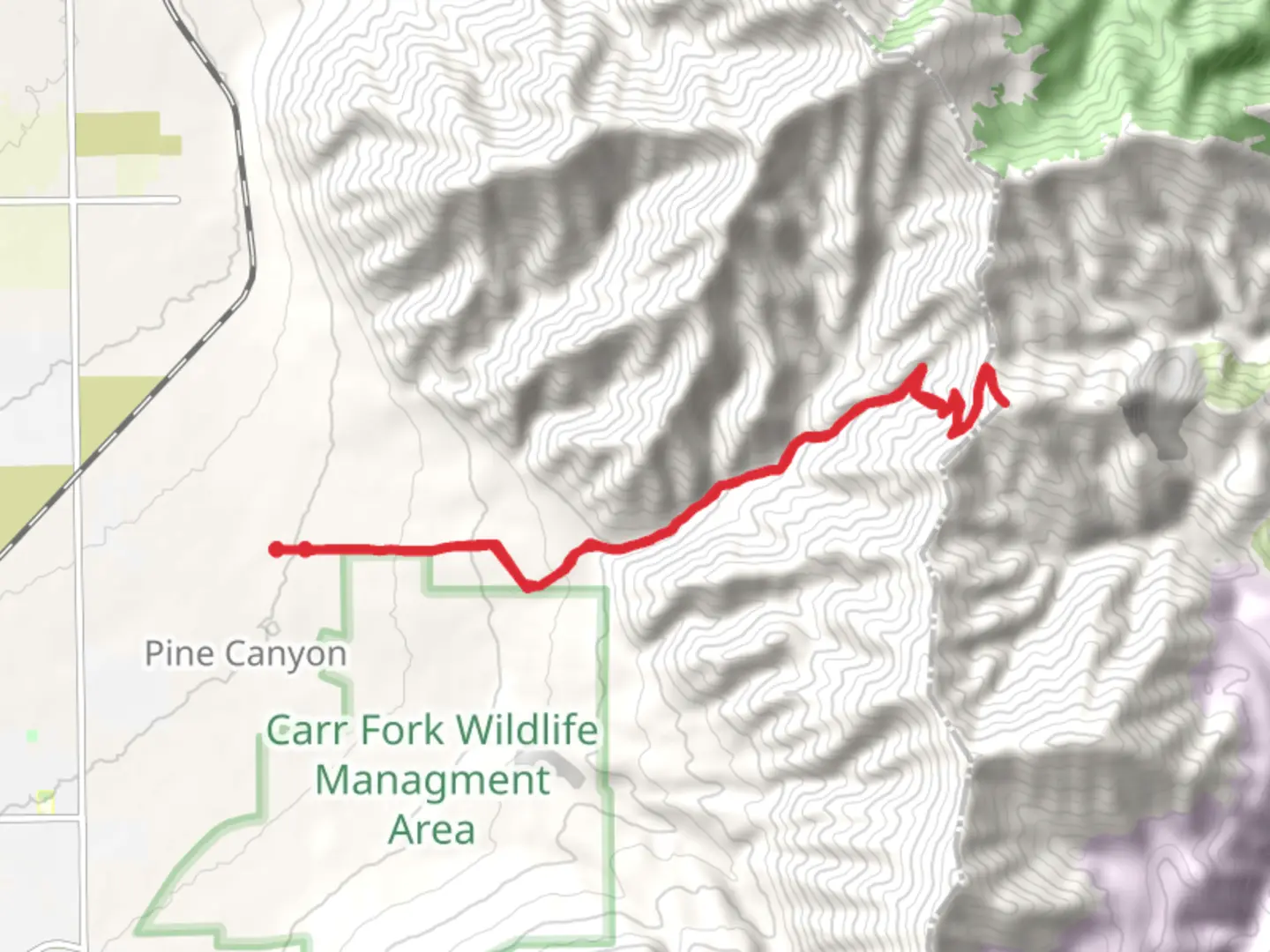 An image depicting the trail Pass Canyon and Barneys Peak Walk and its surrounding area.