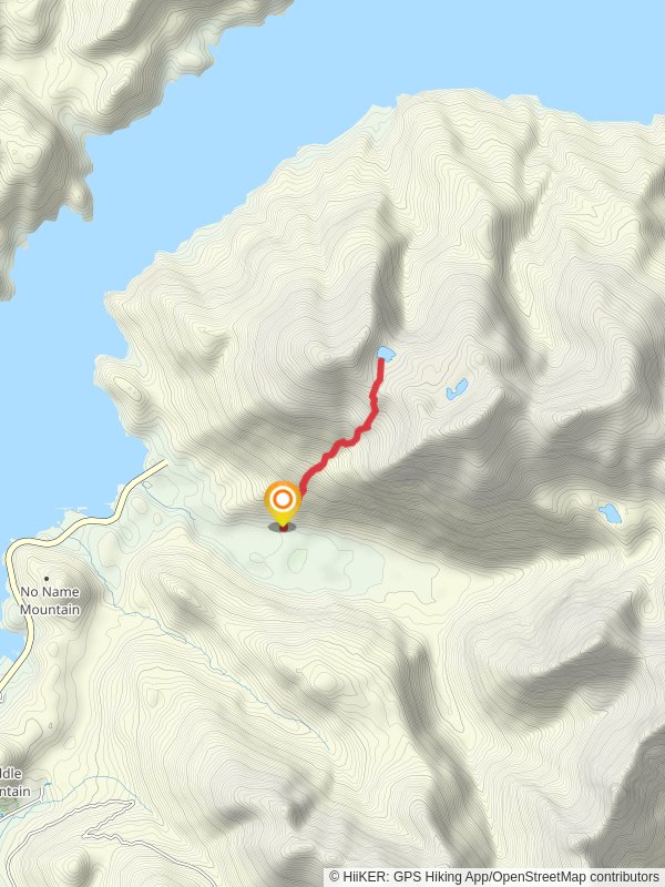 Nelson Logging Road Walk