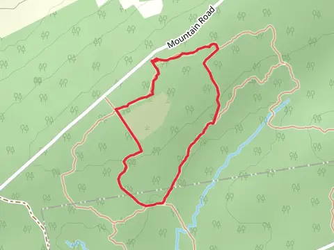 Yellow Trail and Green Loop Trail