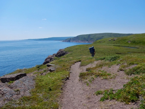 An image depicting the trail East Coast Trail and its surrounding area.