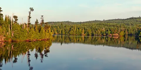 An image depicting the trail Angleworm Trail and its surrounding area.