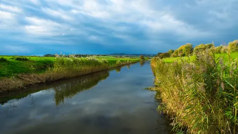 An image depicting the trail Saxon Shore Way and its surrounding area.