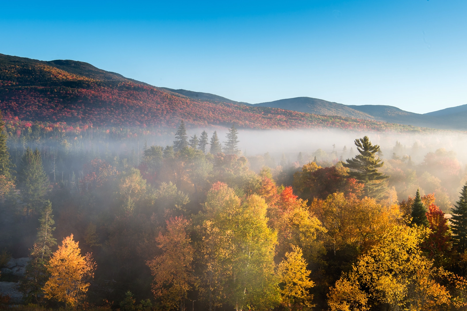 An image depicting the trail Appalachian Trail Section Hike - Rattle River to Lost Pond and its surrounding area.
