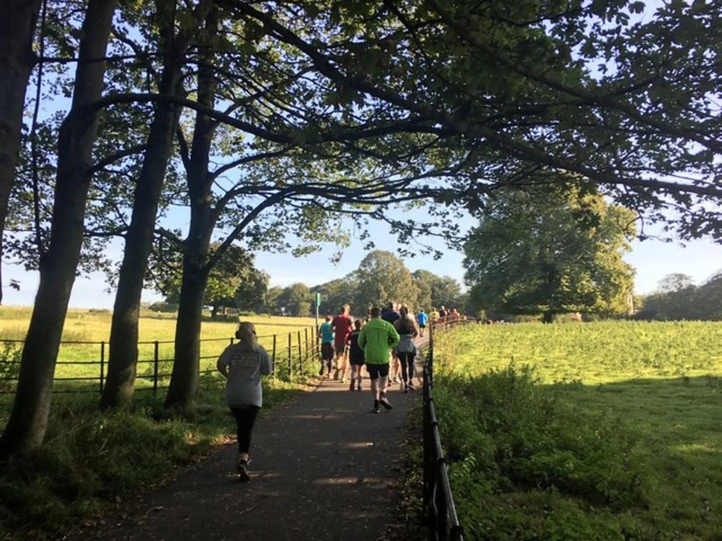 An image depicting the trail Rose Garden and Graves Park Loop and its surrounding area.