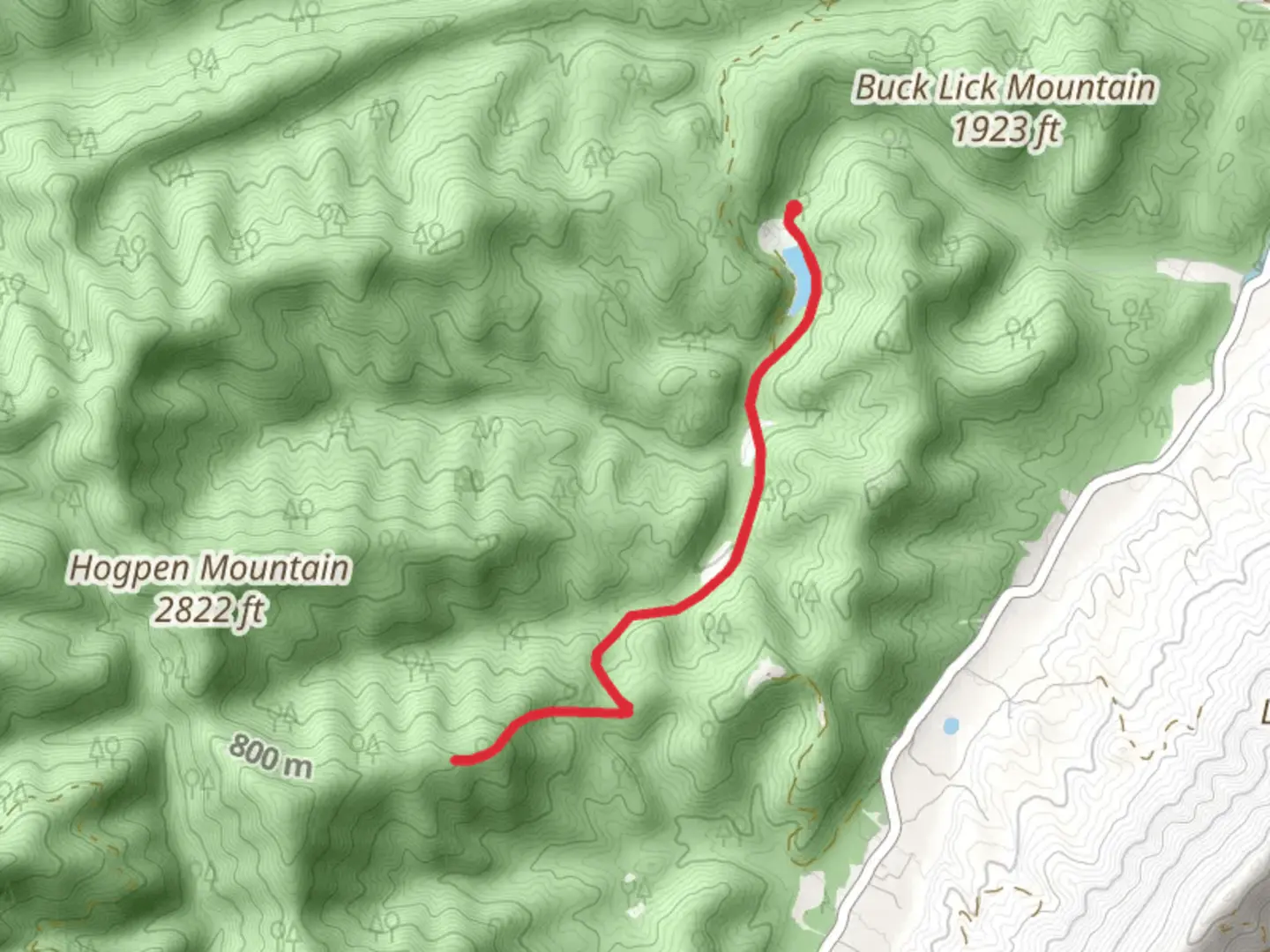 An image depicting the trail Trailing Ivy Lane and its surrounding area.