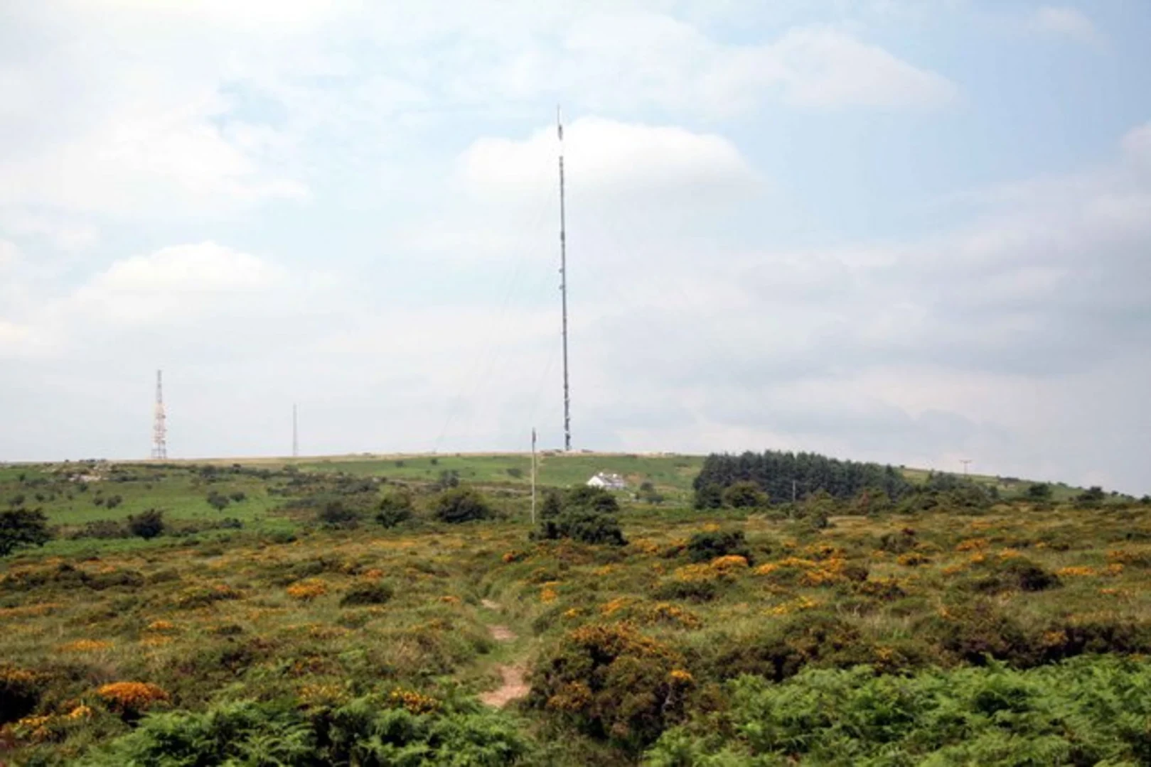 An image depicting the trail Stowe's Hill and Liskeard and Caradon Railway Loop and its surrounding area.