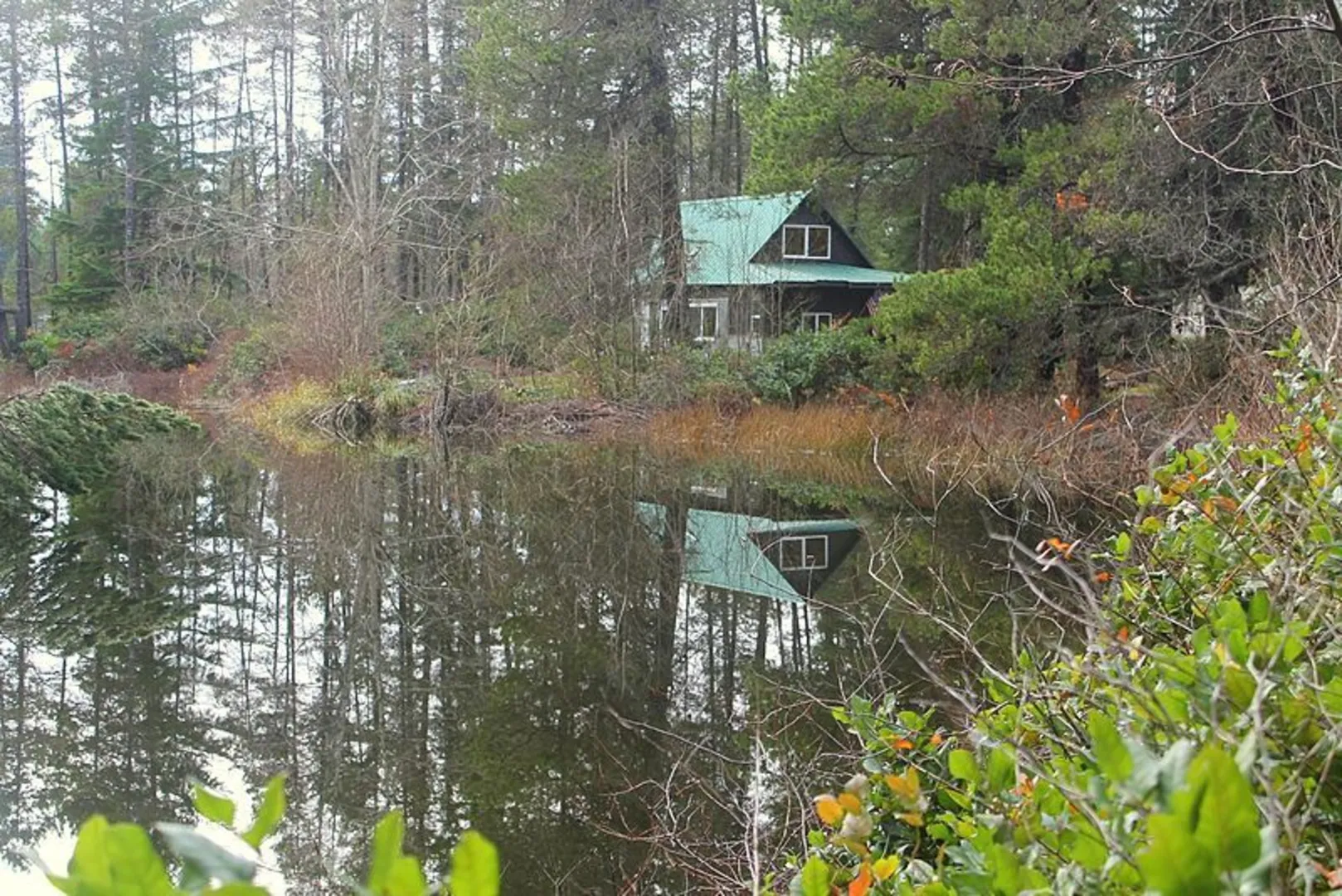 An image depicting the trail Bear Lake Trail and its surrounding area.