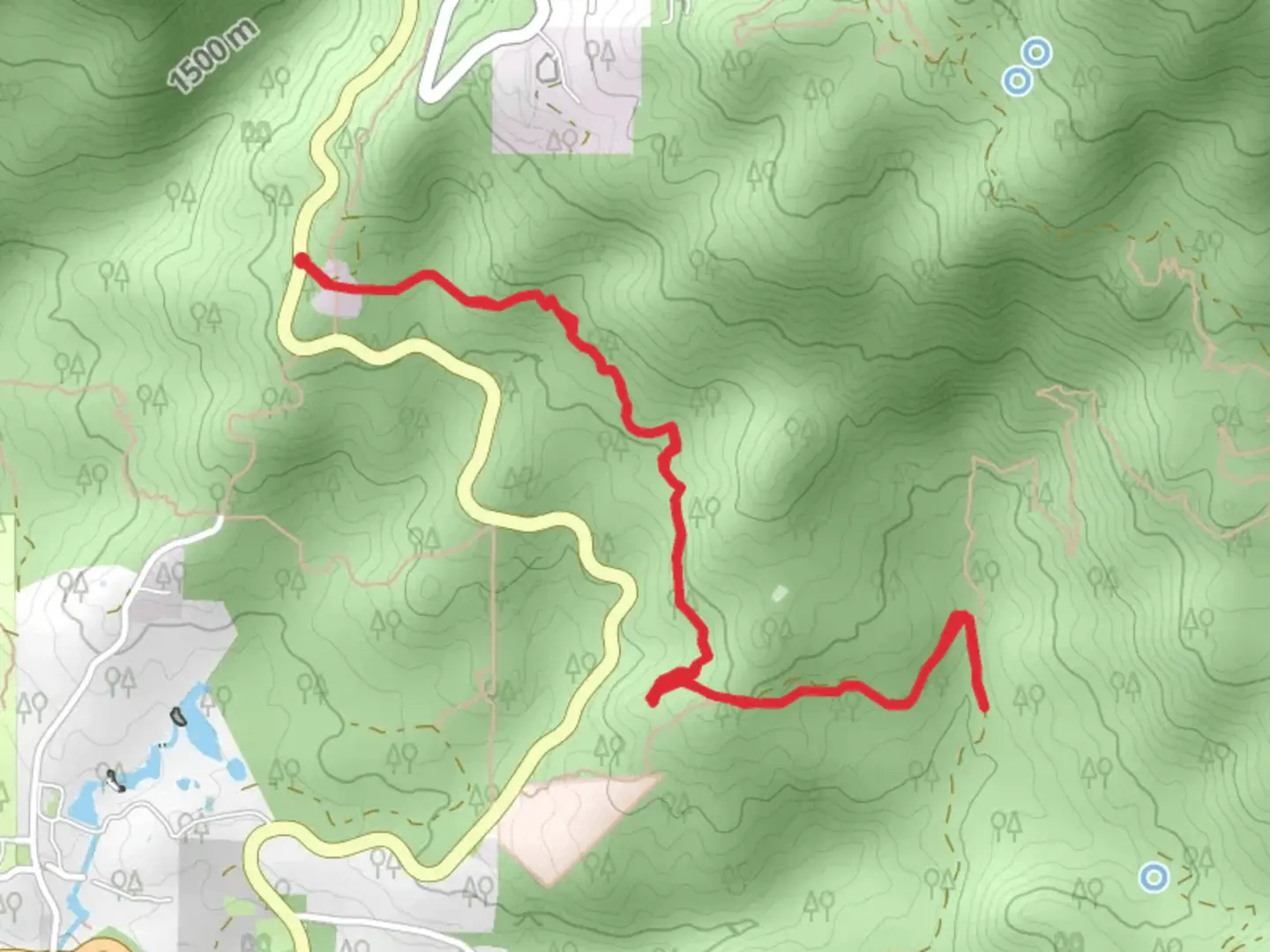 An image depicting the trail Lower South Ridge and its surrounding area.