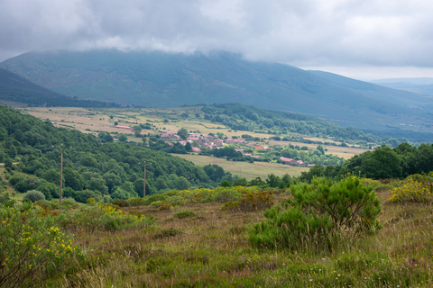 An image depicting the trail Living Waters Circular PR TE 110 and its surrounding area.