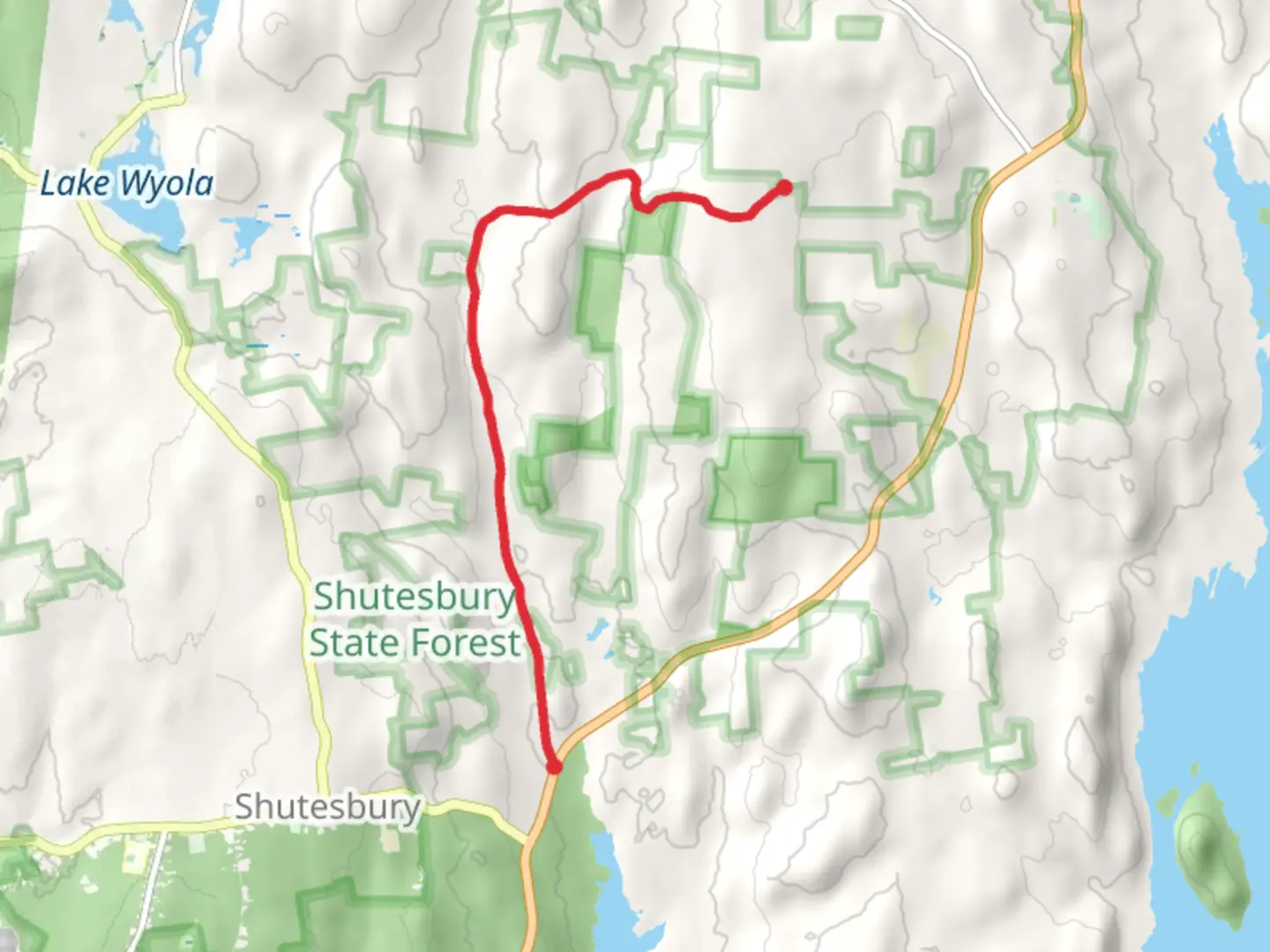 An image depicting the trail Shutesbury State Forest and its surrounding area.