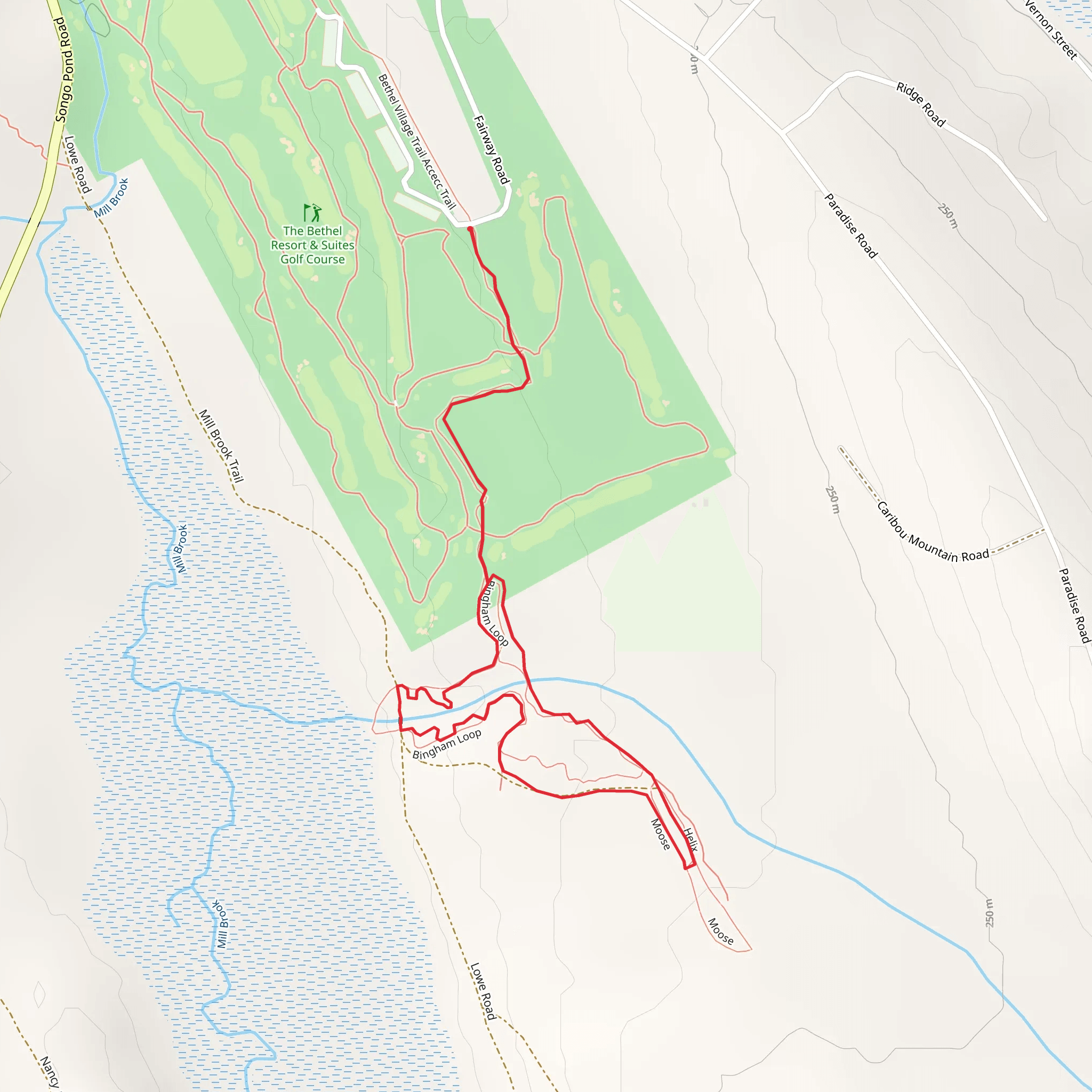 Bingham Loop mobile static map