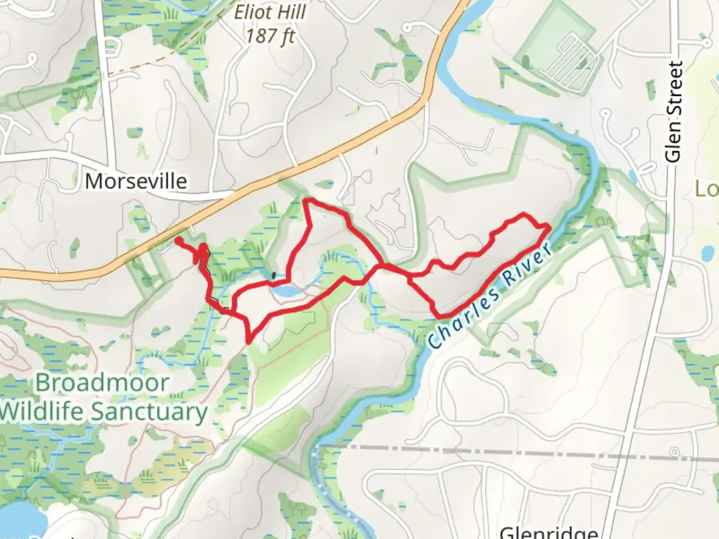 An image depicting the trail Charles River and Indian Brook Loop Trail Loop and its surrounding area.