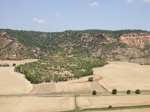 Monte de Abajo Path PR CU 111