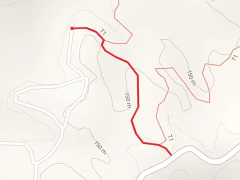 Shadow Lake North Shore Walk