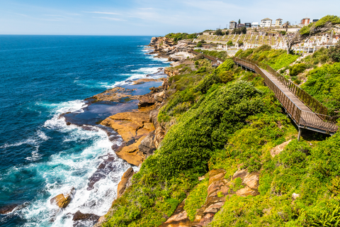 Bondi to Coogee Coastal Walk