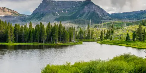An image depicting the trail Trappers Lake - Devil's Causeway Loop and its surrounding area.
