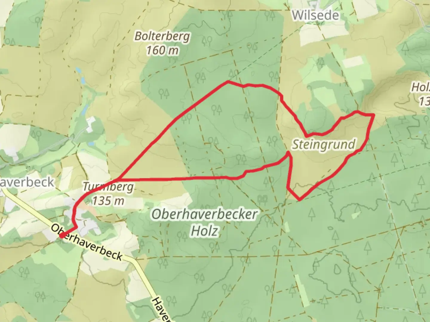 An image depicting the trail Heideschleife Wilseder Berg and Oberhaverbeck O3 and its surrounding area.