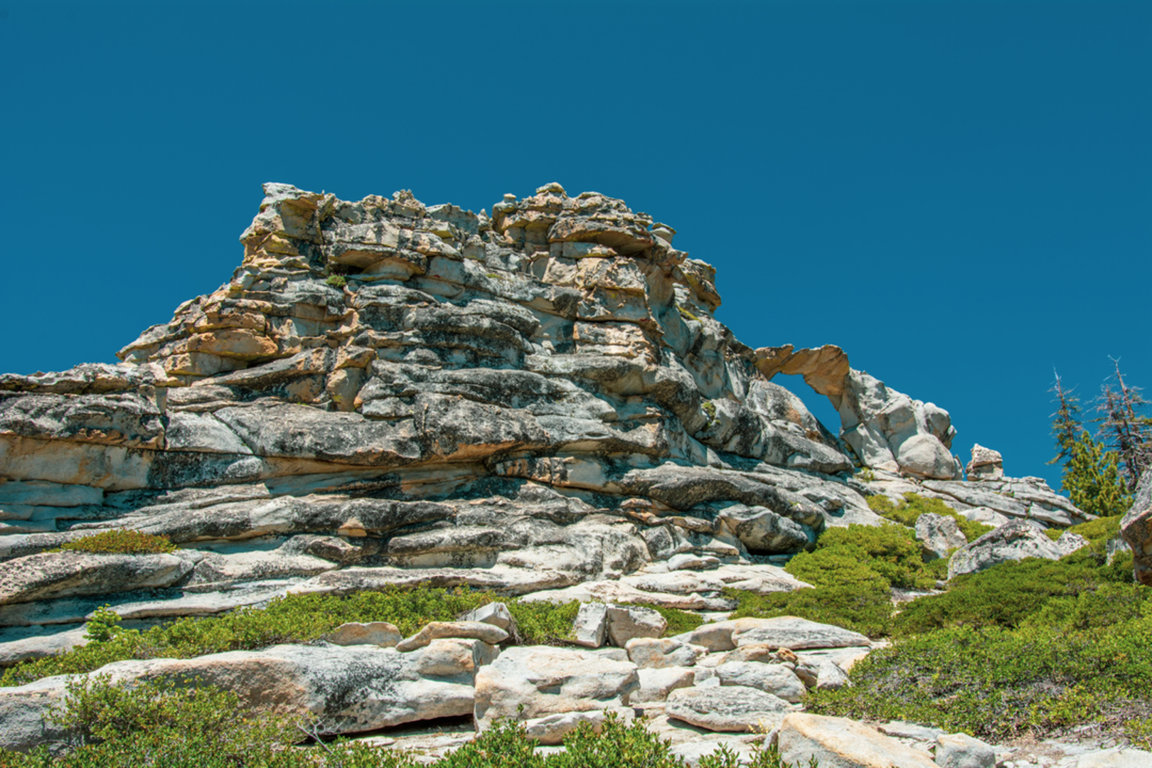 An image depicting the trail The Snow Creek Trail and its surrounding area.