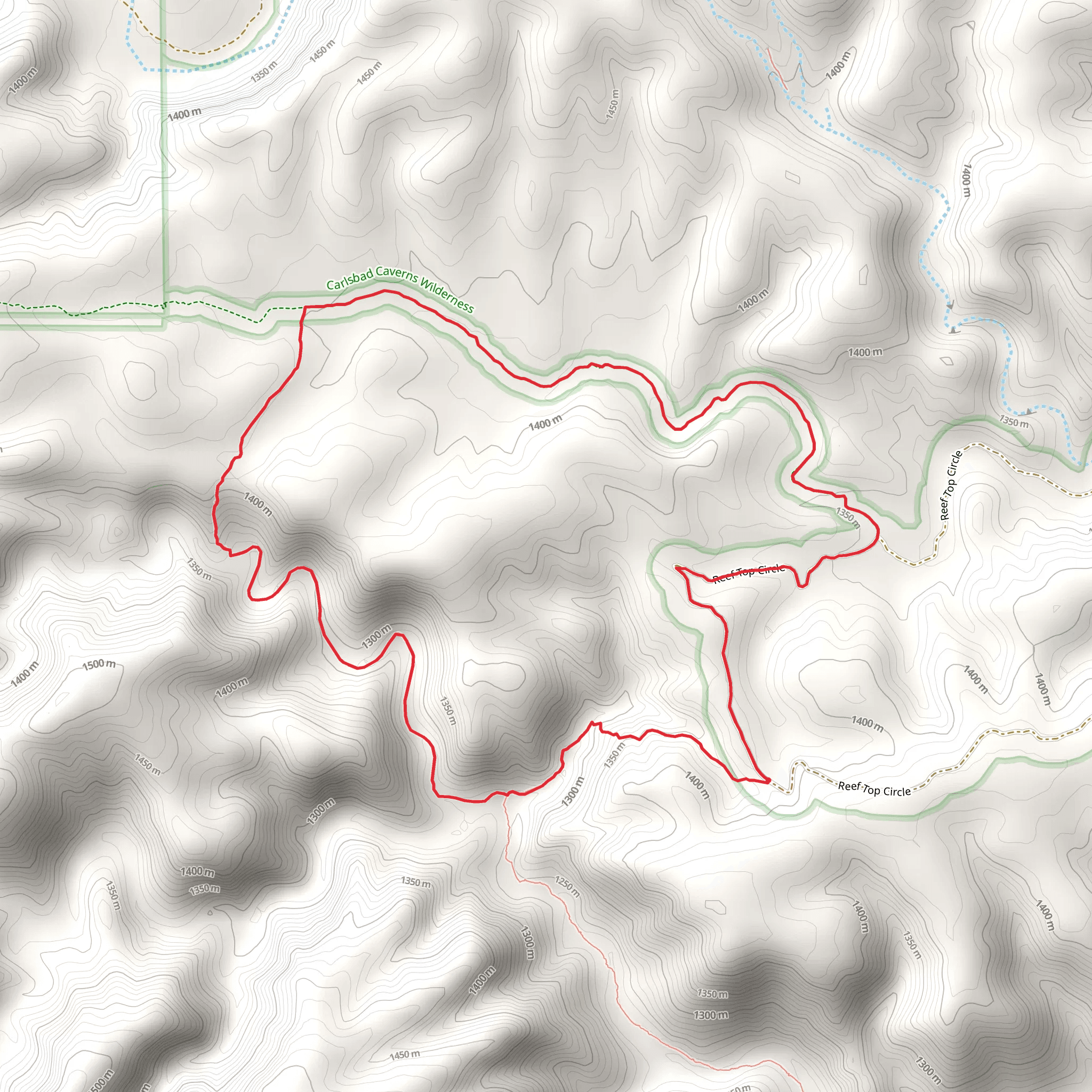 Reef Top Circle, Lowe Spring and Guadalupe Ridge Loop Trail mobile static map