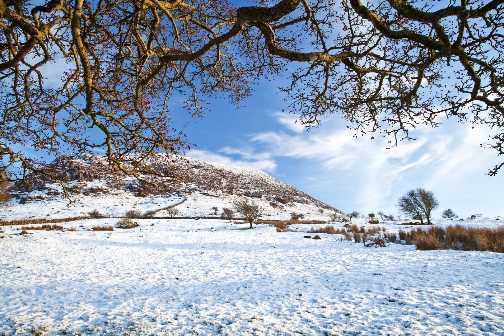 An image depicting the trail Slemish and its surrounding area.