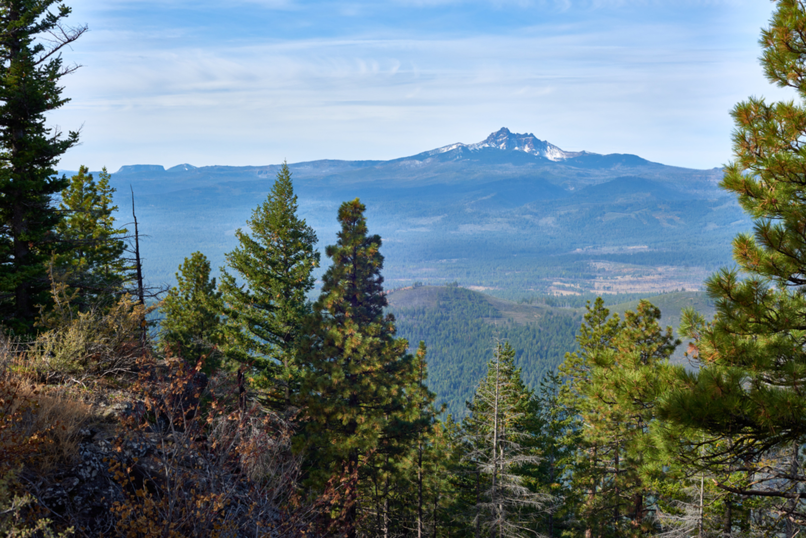 An image depicting the trail Big Meadows Tie via Duffy Lake Trail and its surrounding area.