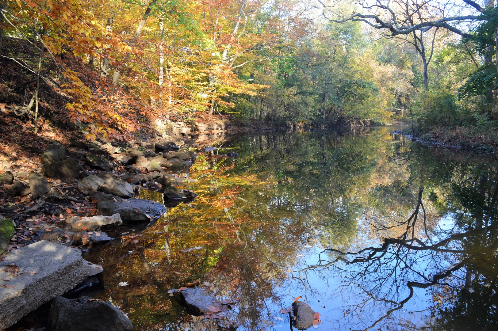 An image depicting the trail Hauston Playground - Orange Trail and Yellow Trail and its surrounding area.