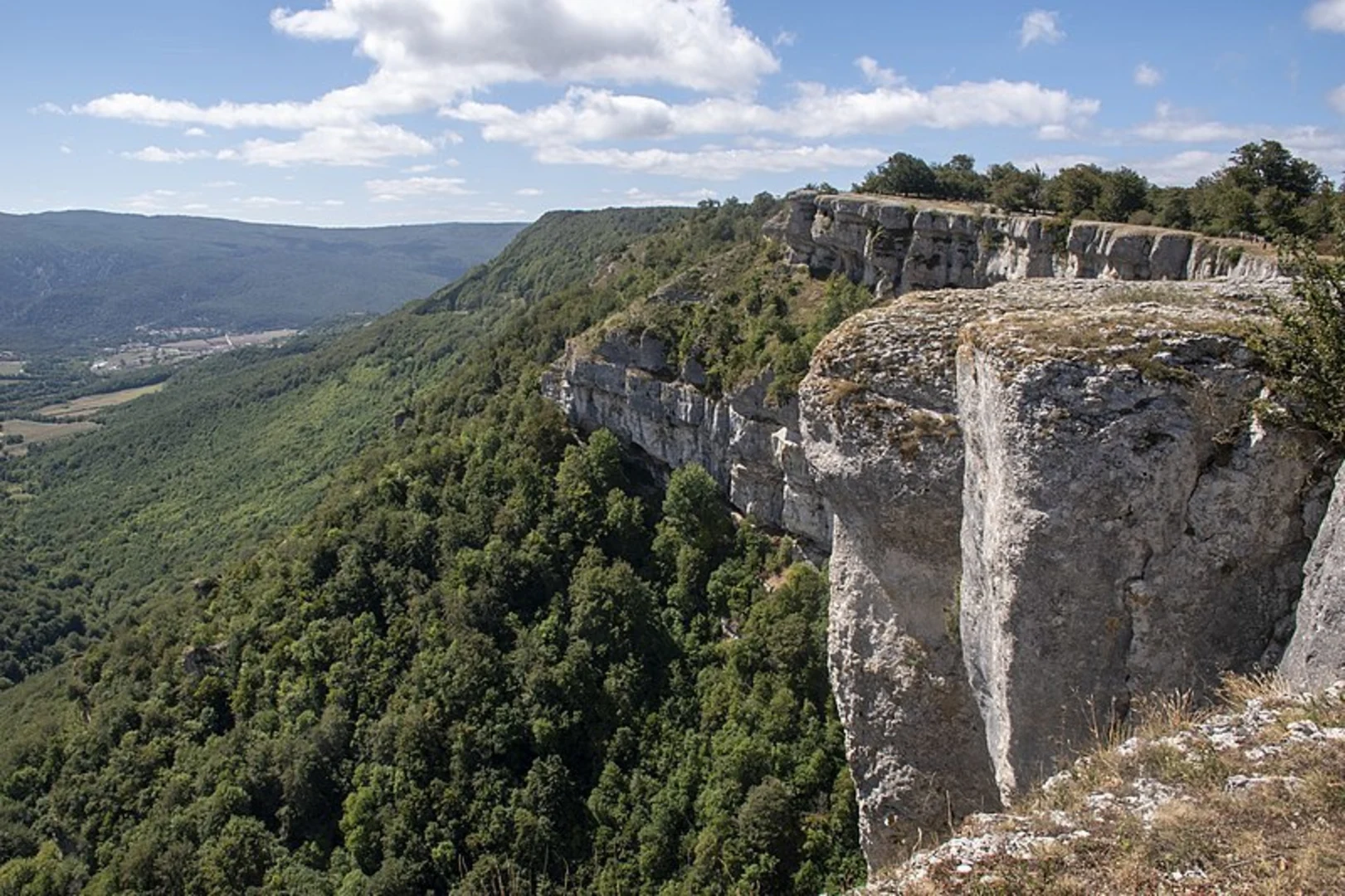 An image depicting the trail Picayo Route PR CU 25 and its surrounding area.