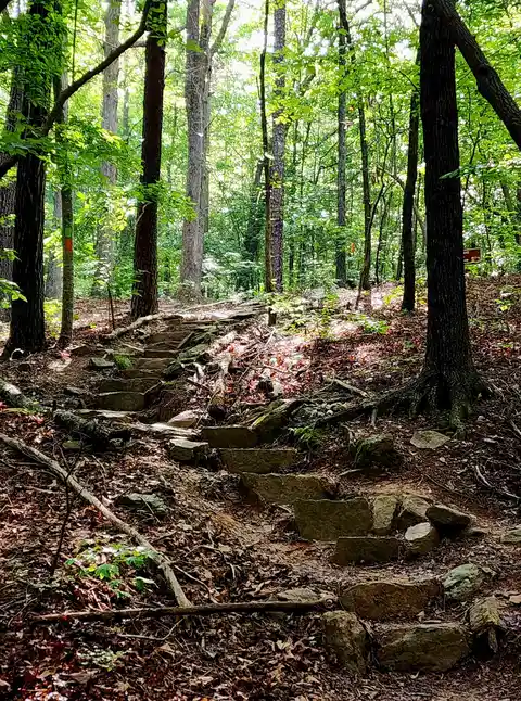 Reservoir One and Walnut Creek Loop