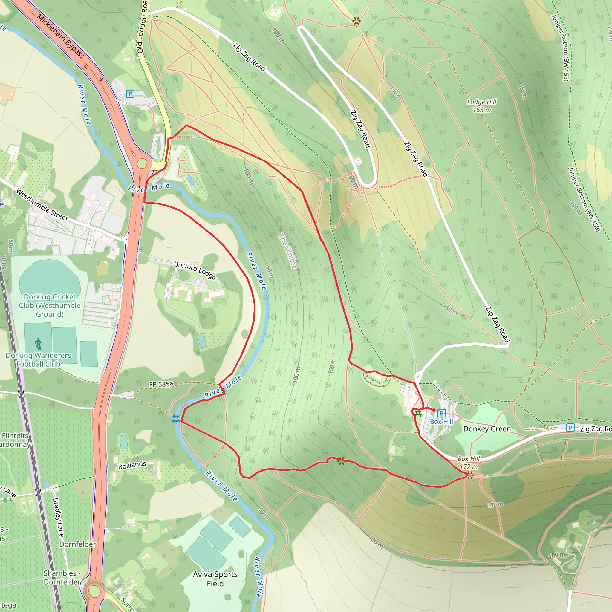 Box Hill Fort Loop mobile static map