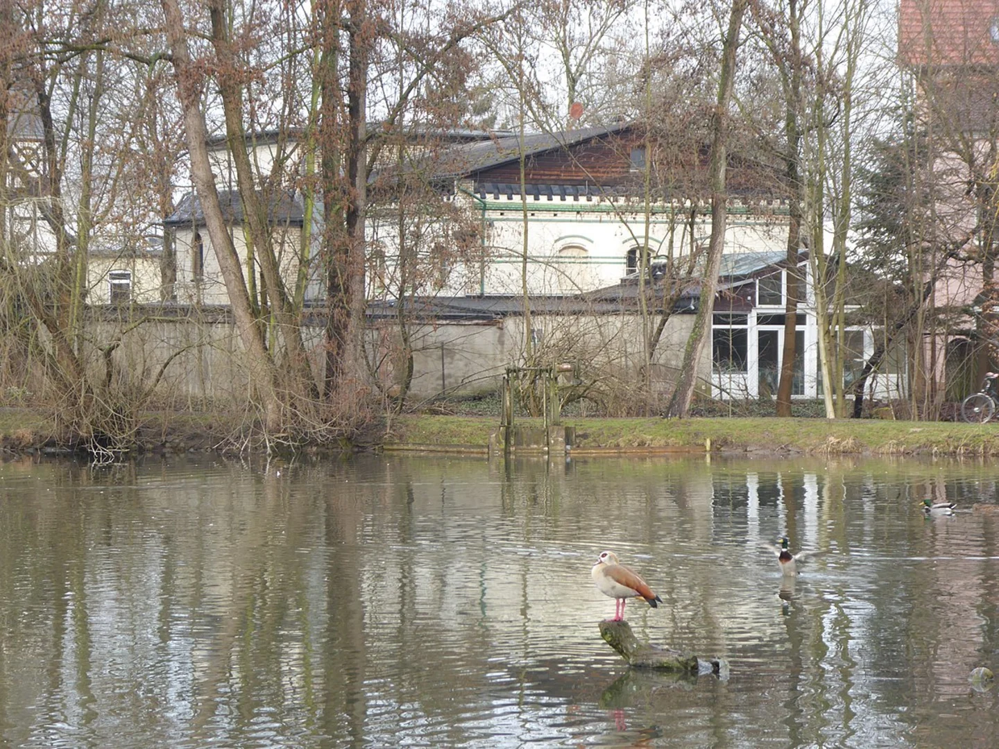 An image depicting the trail Ententeich, Schwaenchenteich and Levinscher Park Loop and its surrounding area.