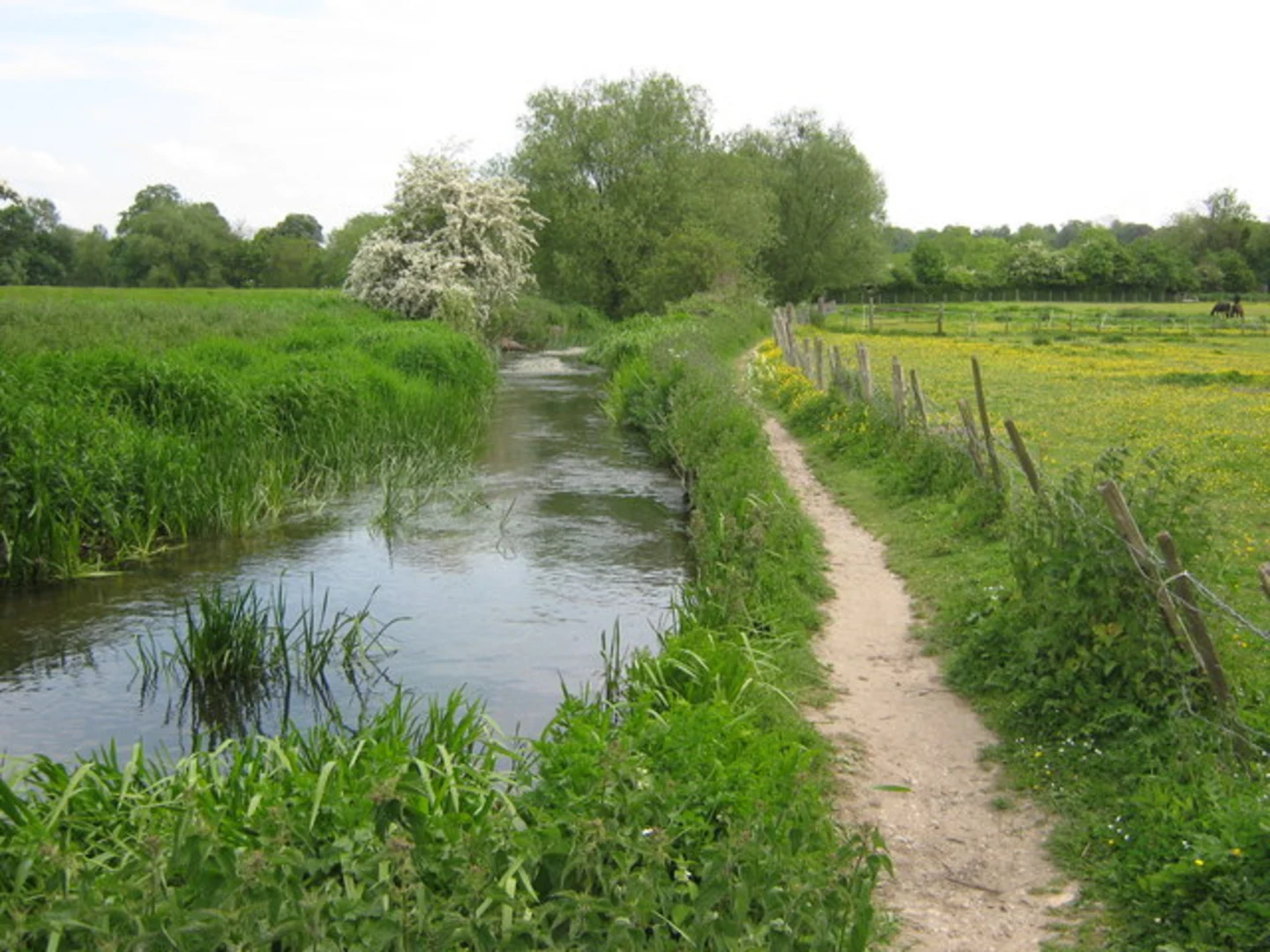 An image depicting the trail Longfield Loop via Darent Valley Path and its surrounding area.