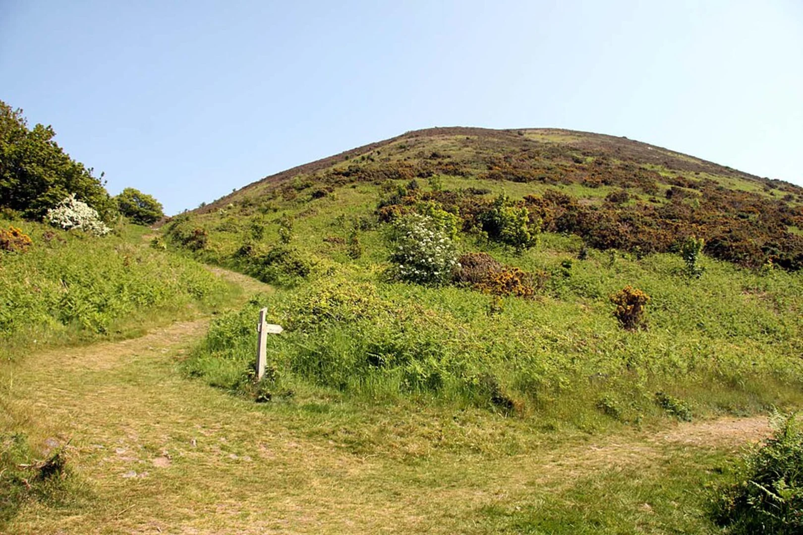 An image depicting the trail Bossington Hill Woodland - Exmoor Stroll and its surrounding area.