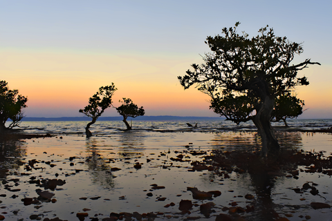 Fitzgerald Bay - Point Lowly Trail