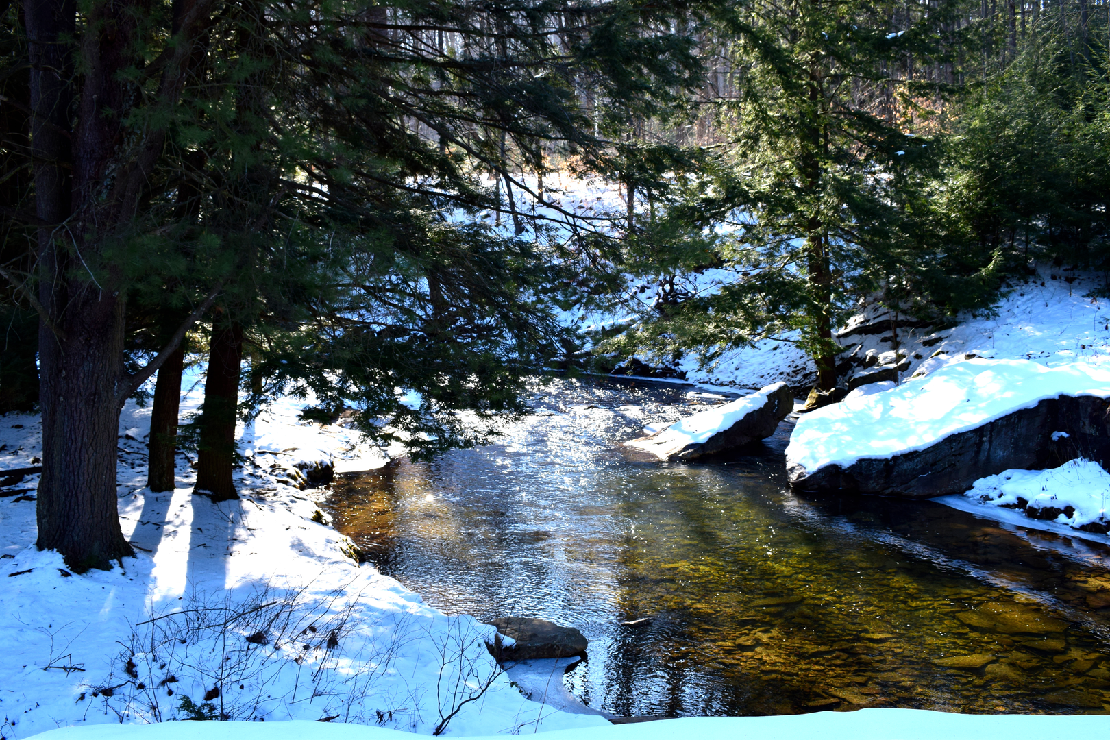 An image depicting the trail Quehanna Trail - NE and its surrounding area.
