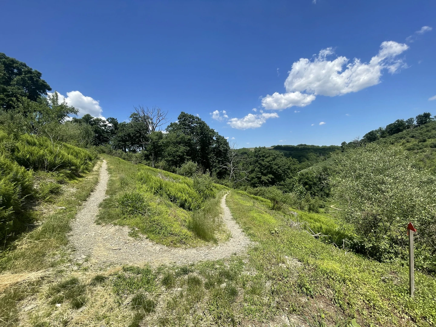 An image depicting the trail Jordan Creek Loop via Elk Viewing Trail and its surrounding area.