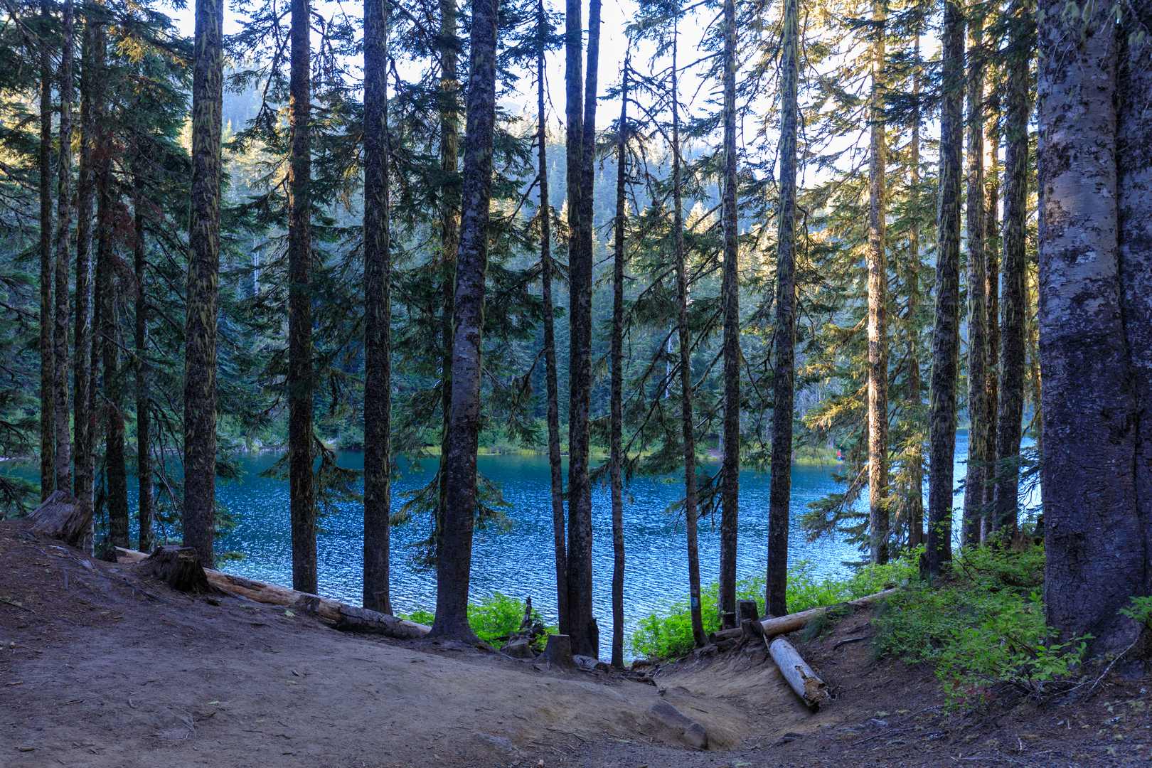 An image depicting the trail Juniper Ridge - Boundary Trail and its surrounding area.
