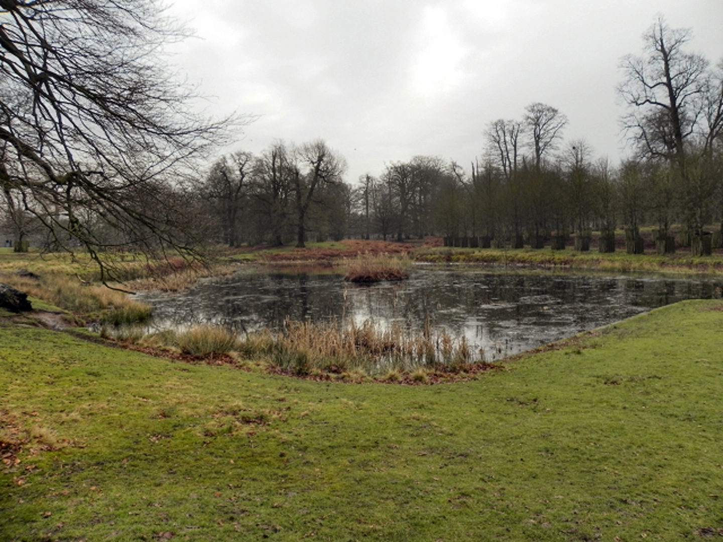 An image depicting the trail Dunham Massey Park Loop and its surrounding area.